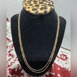 Dual Strand, Silver and Gold Tone Necklace.